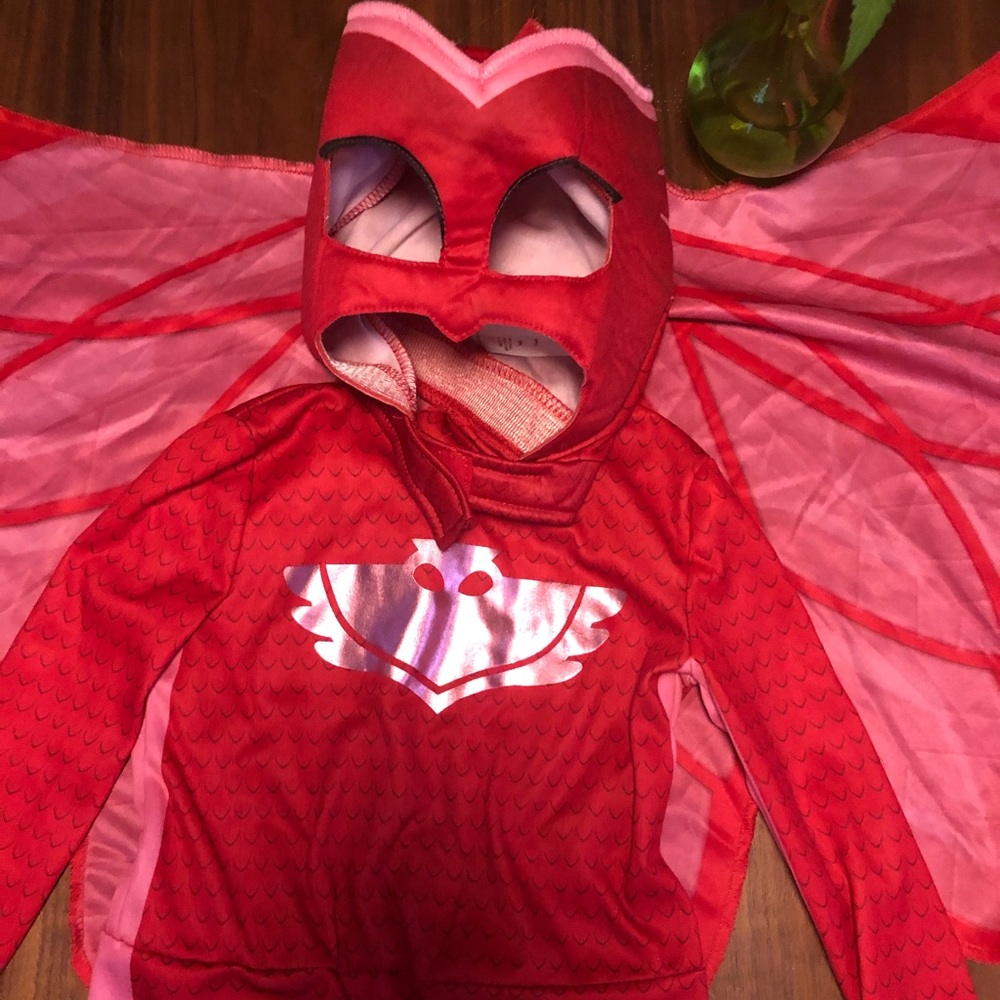 PJ MASKS ❤️🦉Owlette Halloween 🎃 Costume